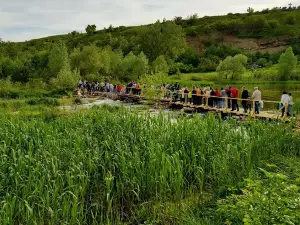 Флаги