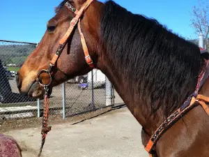 Douglas County Fairgrounds