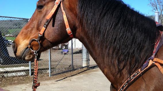 Douglas County Fairgrounds