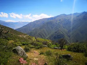Parque Echenique