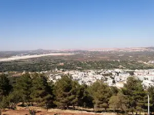Oğuzeli Delikli Tepe