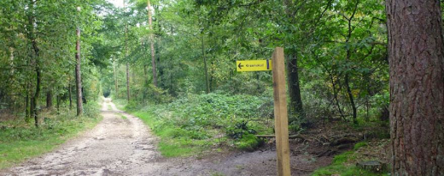 Kraamskuil