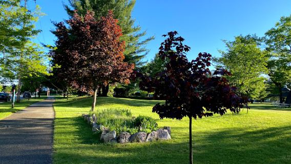 F and M Park
