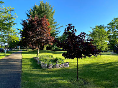 F and M Park