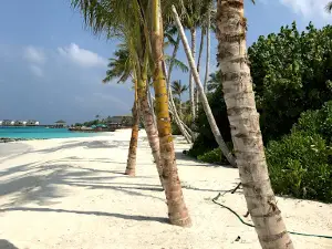 Van'gaaru