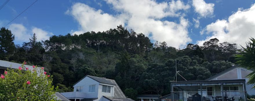 Kauri Block Walk
