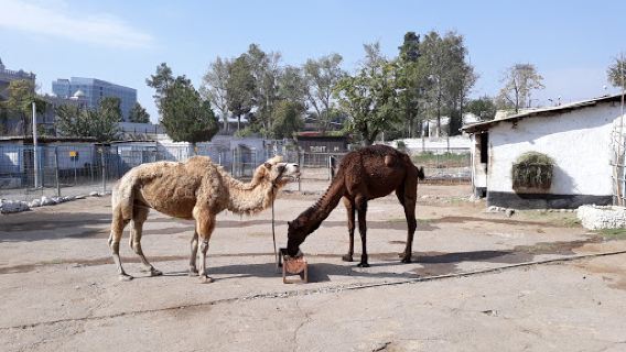 Dushanbe Zoo