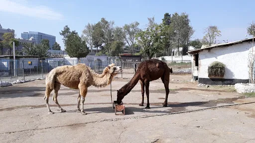 動物園