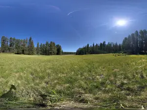 Hannagan Campground