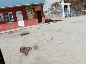 Stadion Shieli