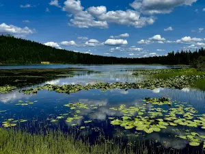 Big Meadow Lake Campground