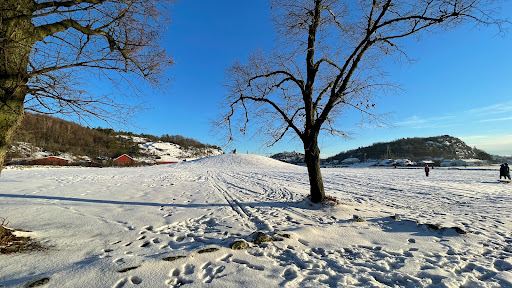 The Gokstad Mound