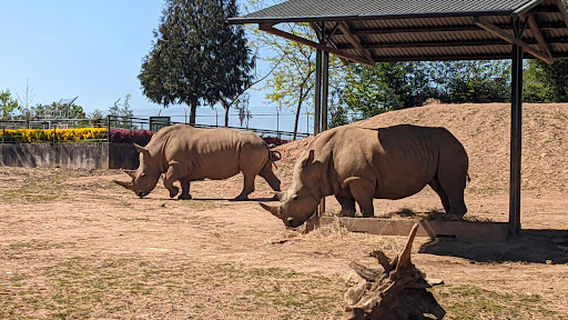 Quinta de Fiães (de Santo Inácio)