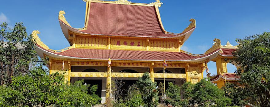 Sân Bóng Đá Mi Ni Cao Nguyên Xanh