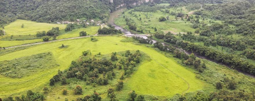 Bosque Estatal de Río Abajo