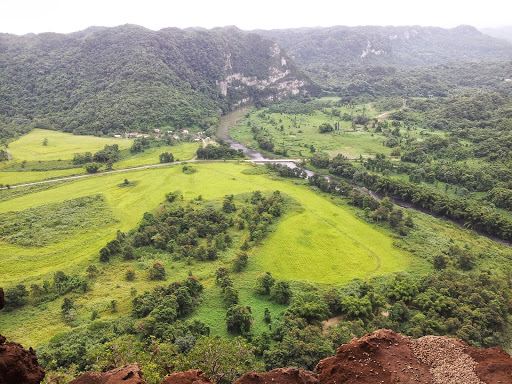 Bosque Estatal de Río Abajo