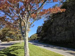 Rockytop Overlook