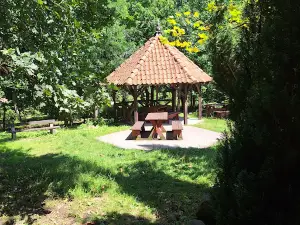 Park Ekologiczny w Pasłęku