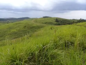 Bukit Ilalang Sungkai