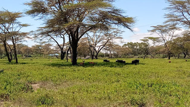 Sanctuary Horse Riding