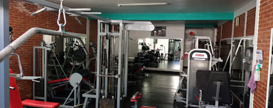 Body Sport GYM