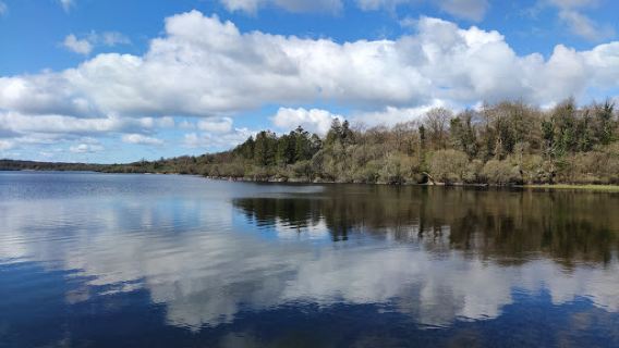 Dromore Woods Trailhead