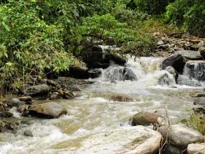 Parque Recreativo
