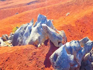 Dunas Rojas de San Francisco, Pacula