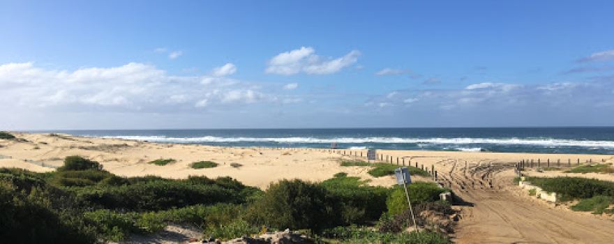 Summerland Point Reserve