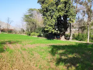 Kohat Toi River