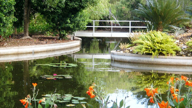 Jingili Water Gardens