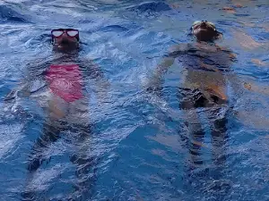 Neptun. Kryta pływalnia