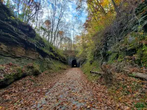 Brandy Gap/Flinderation Tunnel #2