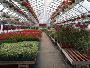 John's Flower Shop & Garden Centre