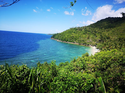 Hermit's Cove