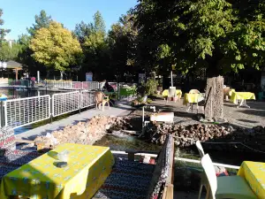 Tavşanlı Municipality Fish Park