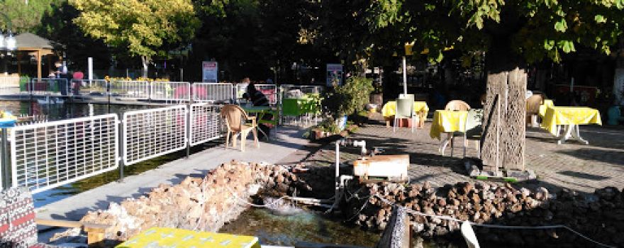 Tavşanlı Municipality Fish Park