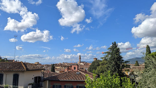 Panoramic view of Florence