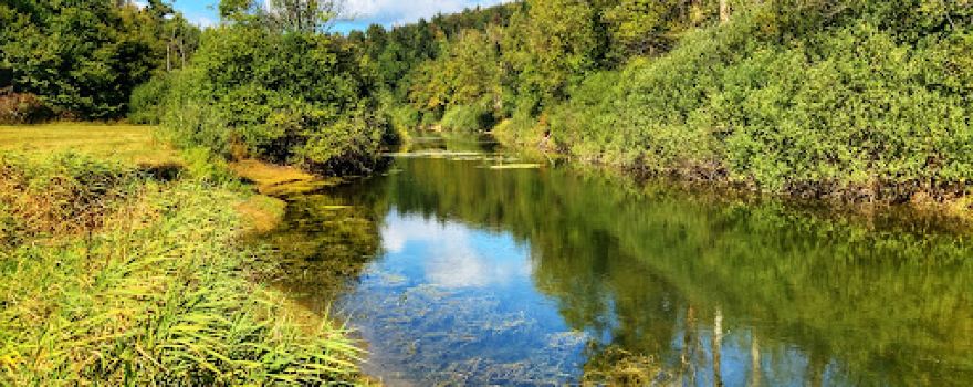 Rakov Škocjan Landscape Park