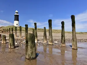 Spurn National Nature Reserve