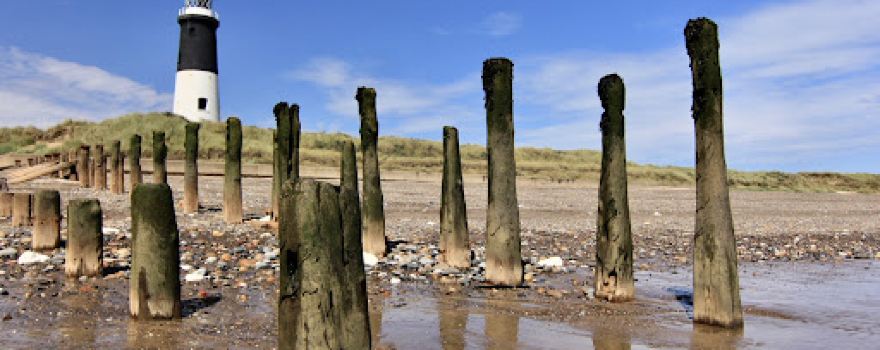 Spurn National Nature Reserve