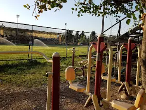 Estadio