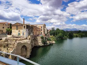 Pont Penjant Amposta