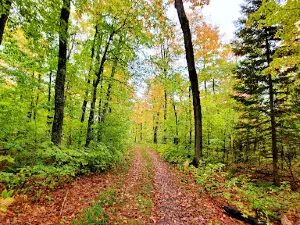 Canyon Falls Roadside Park