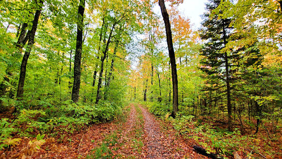 Canyon Falls Roadside Park