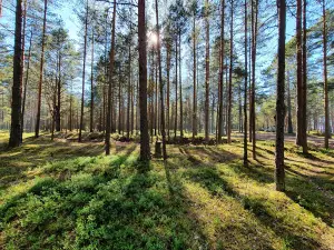 Lake Ladoga