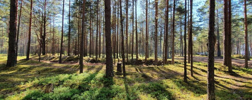 Lake Ladoga
