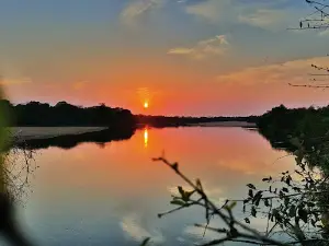 Apa River