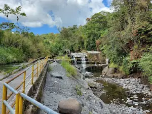 Cañon Macho de Monte