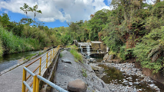 Cañon Macho de Monte